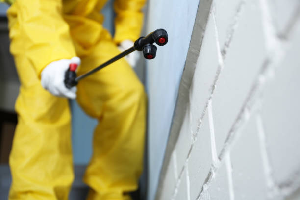 Best Pest Control for Multi-Family Homes  in Anniston, AL